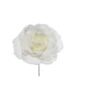 Addobbo Fiori Pick Rosa Innevata Bianco 17Cm