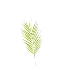 Addobbo Foglia Di Palme 69Cm
