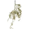 Addobbo Radice Muschiata 109Cm Per Decorazioni Di Natale