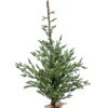 Albero Di Natale 210 Cm 350 Tips Con Base In Juta |
