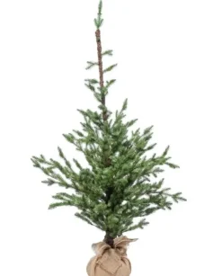 Albero Di Natale 210 Cm 350 Tips Con Base In Juta |