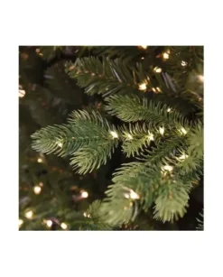 Albero Di Natale Led 210 Cm Madison 3000 Led |