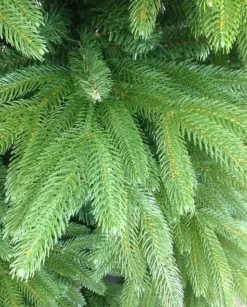 Albero Di Natale Oscar 210 Cm 90% Pe Real Touch |