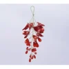 Appendino Grappolo Di Petali Rosso