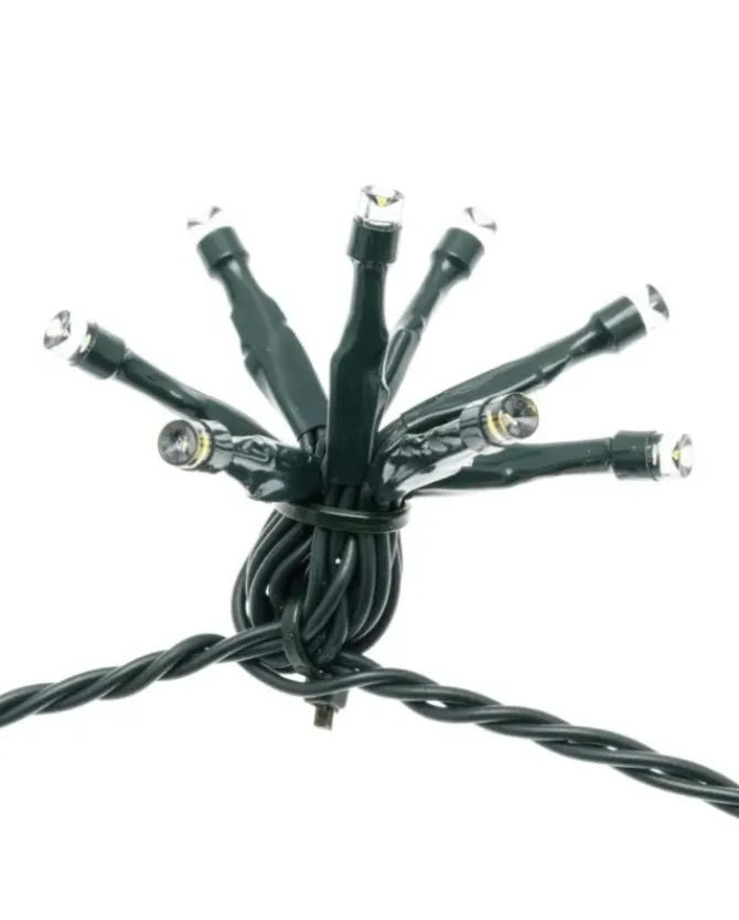 Catena Bunch Gx8 40 Gruppi Da 8 Led Bianco Caldo 4+16M