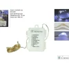 Catena Luci Bianche Led Con 8 Giochi Di Luce A Batteria