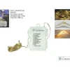 Catena 50 Luci Led Per Albero Di Natale Luce Calda 8 Giochi Di Luce