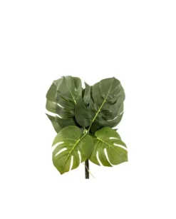 6 Foglie Philo H40Cm