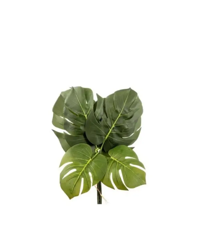 6 Foglie Philo H40Cm