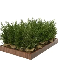 Mini Albero Glitter Argento Da Internocolore Greenmisura Dia12.00-H30.00Cm