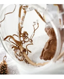 Pallina Di Vetro Con Uccelini, Tema Foresta 3 Assortiti