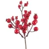 Pick Bacche Rosse