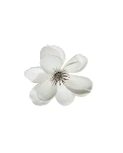 Pick Magnolia Innevata 24Cm Bianca Per Decorazioni