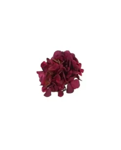 Pick Ortensia Innevata 21Cm Burgundy Per Decorazioni Di Natale