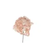 Pick Ortensia Innevata 19Cm Cipria Per Decorazioni Natalizie