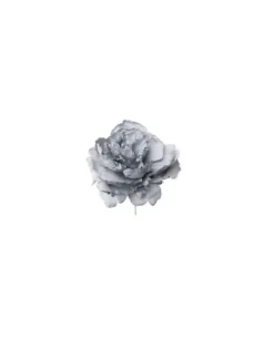 Pick Peonia Blu