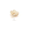 Pick Peonia Crema