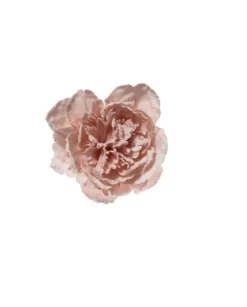 Pick Peonia Innevata 23Cm Cipria Decorazioni Natalizie
