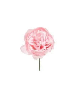 Pick Peonia O11Cm H19Cm Cipria O11Cm H19Cm Per Decorazioni Di Natale