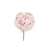 Pick Peonia O11Cm H19Cm Vaniglia Per Decorazioni Di Natale