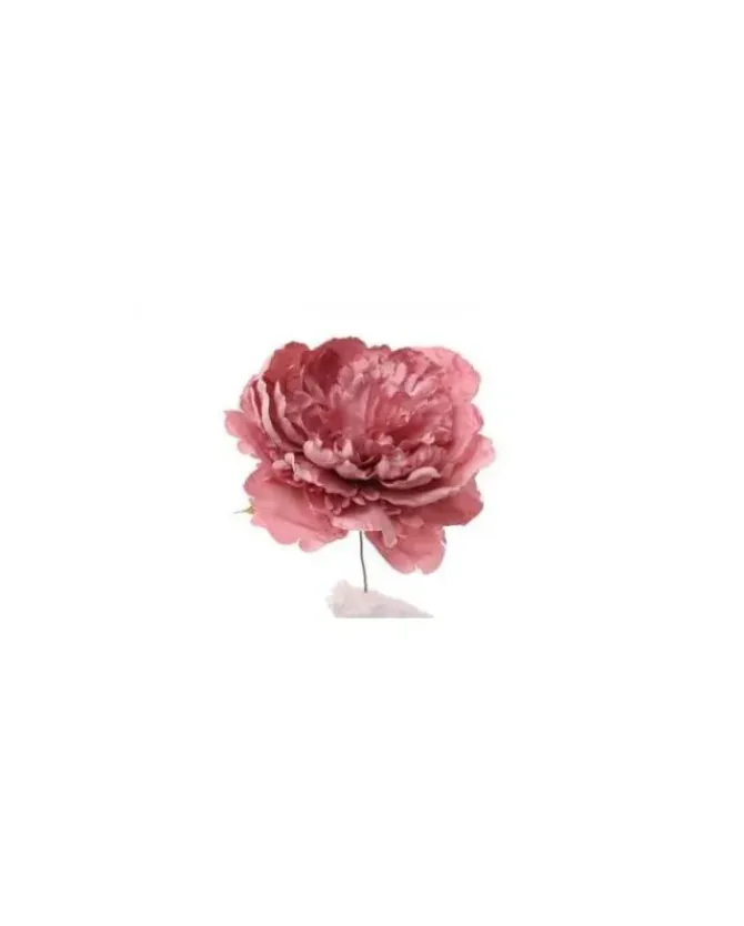 Pick Peonia Rosa