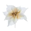 Pick Poinsettia Crema