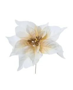Pick Poinsettia Crema