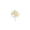 Pick Ramo Ortensia Crema