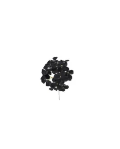 Pick Ramo Ortensia Nero