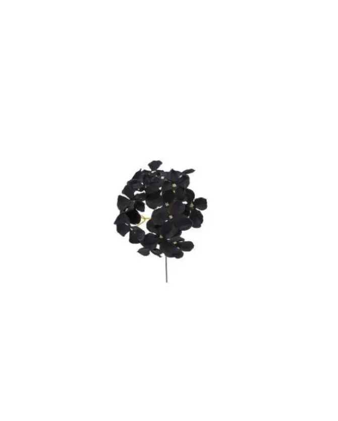 Pick Ramo Ortensia Nero