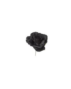 Pick Ramo Rosa Nera