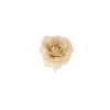 Pick Rosa Crema