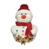 Pupazzo Di Neve Con Decori Pan Di Zenzero