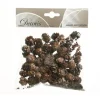 Sacchetto Pigne Naturali Glitterate45Gr Per Decori Natalizi
