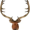 Testa Di Cervo Marrone 32X22X53