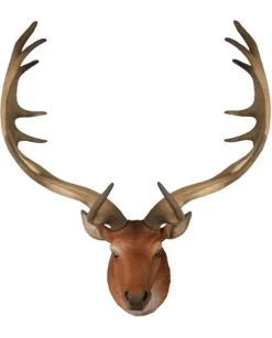 Testa Di Cervo Marrone 32X22X53
