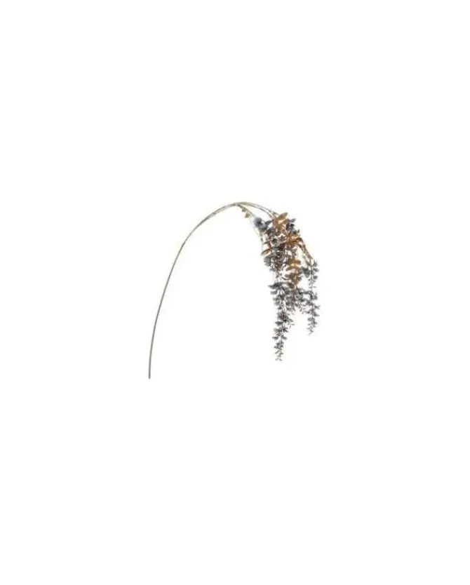 Tralcio Glicine Blu